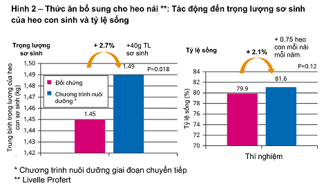 ĐIỀU CHỈNH CHẾ ĐỘ DINH DƯỠNG CHO HEO NÁI TRONG GIAI ĐOẠN CHUYỂN TIẾP KHI SINH